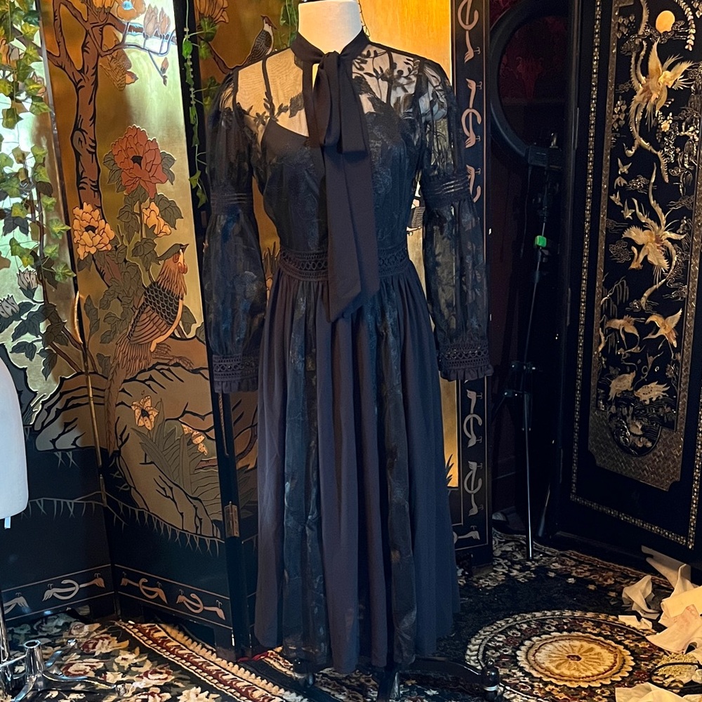 Sheer black floral embroidered midi dress with lantern sleeve w cutout lace trim